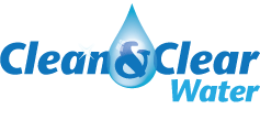 clean and clear logo